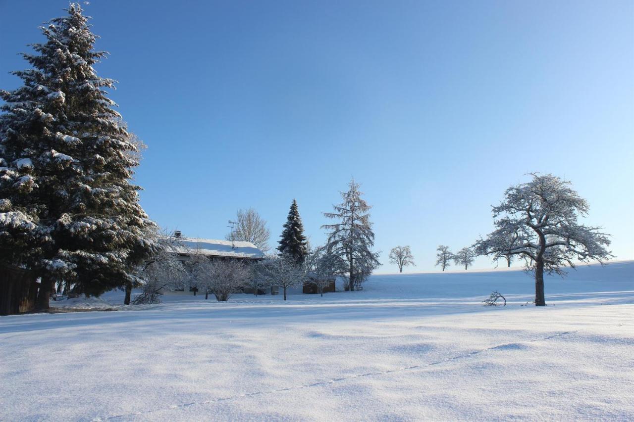 Auszeit Auf Dem Lindenhof Apartment Wangen im Allgäu Exterior photo